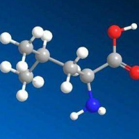 食品氨基酸檢測