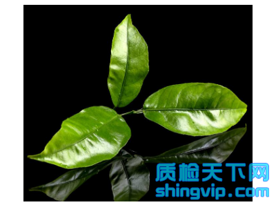 佛山茶葉檢測部門，茶葉成分和農殘檢測單位