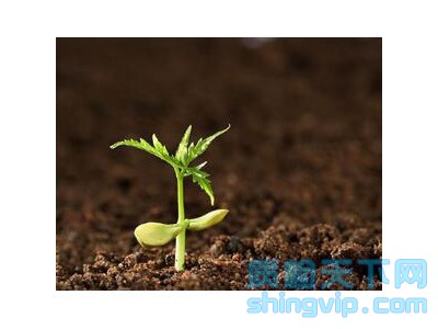 南京土壤檢測中心_部門_到哪里