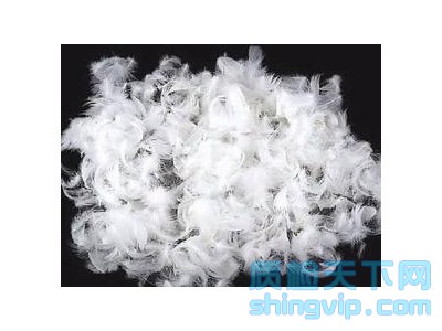 蘇州羽絨羽毛項目檢測多少錢,蘇州羽絨檢測機構(gòu)