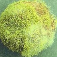 佛山黃曲霉毒素B1檢測(cè)部門，佛山食品檢測(cè)有沒有過期