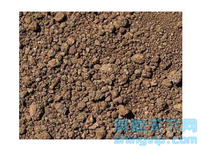 武漢土壤檢測報告到哪里辦理,武漢土壤有機物檢測機構