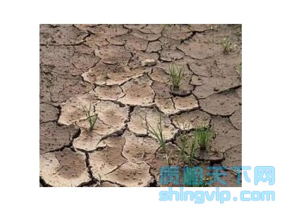 寧波市土壤第三方檢測(cè)機(jī)構(gòu),寧波土壤檢測(cè)一次多少錢