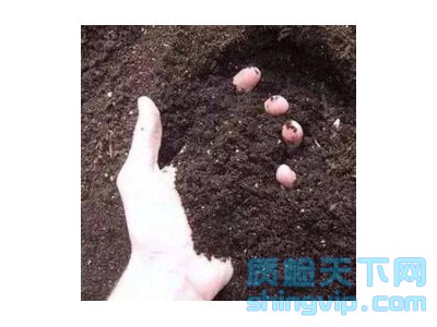 寧波市土壤有效態檢測機構，寧波市有機土壤檢測中心