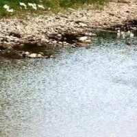 佛山市餐飲企業污水排放上門采樣檢測機構