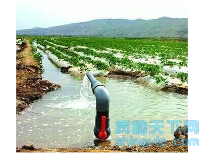 佛山市漁業水檢測中心,佛山市農業灌溉水檢測