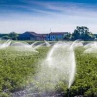 東莞市農(nóng)業(yè)灌溉水檢測到哪里，東莞漁業(yè)養(yǎng)殖水檢測