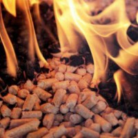 東莞生物質(zhì)燃料檢測(cè)機(jī)構(gòu)_中心_部門(mén)_單位