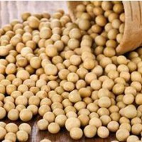 青島市大豆粗蛋白質(zhì)含量檢測中心，大豆有害物質(zhì)檢測分析