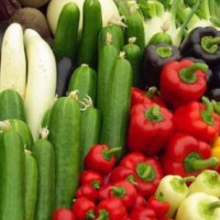 濟南市農產品農藥殘留檢測中心，蔬菜快檢機構