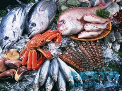 廣州市水產品快速檢測單位_機構_部門