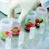 珠海市食品快速檢測到哪里，農藥殘留快檢單位