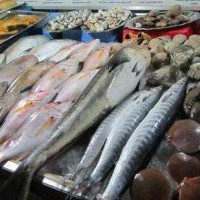 深圳市魚類_蝦類_大閘蟹孔雀石綠定性快檢中心