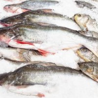 水產品孔雀石綠快速檢測