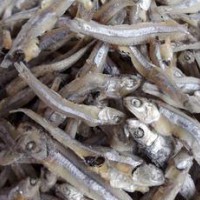 廣州魚(yú)干_魚(yú)肚_干制水產(chǎn)品權(quán)威檢測(cè)機(jī)構(gòu)