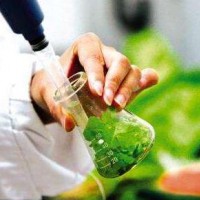 昆明第三方食品檢測_食品檢測報告辦理