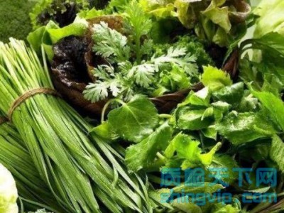 佛山蔬菜,肉類常規檢測中心,食品安全檢測機構