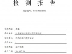污水檢測報告