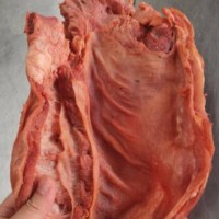 成都雞肉_豬肉_牛肉_羊肉檢測機構