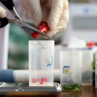 清遠食品做一次檢測報告多少錢，清遠食品出廠報告辦理