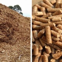 汕頭哪里可以檢測生物質，汕頭生物質檢測所